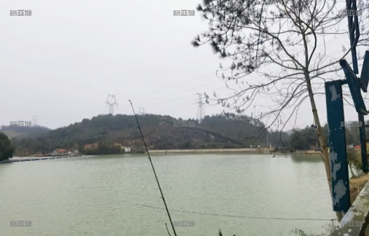 金华下山头水库路亚