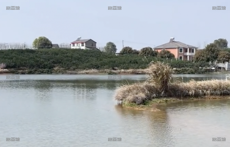 宜昌备战路亚基地