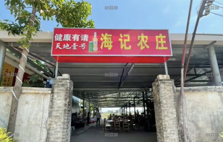 广州海记路亚综合场