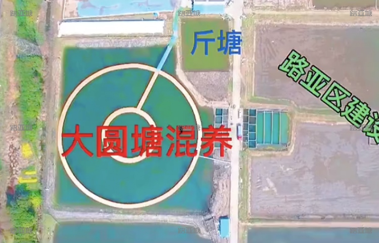 江阴大圆塘路亚基地