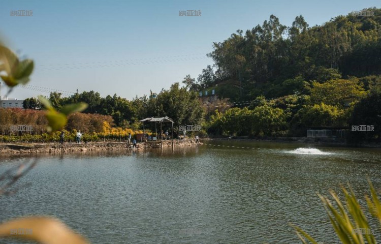 厦门竺缘路亚训练营