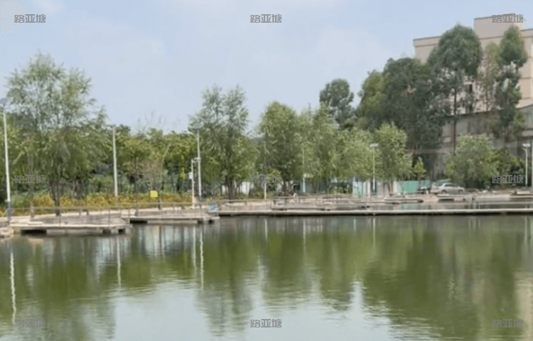 东莞王者路亚基地