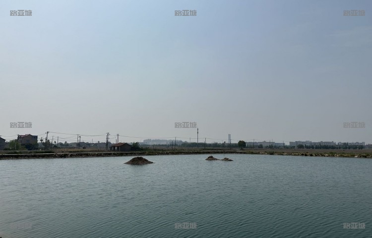 上海天晴路亚