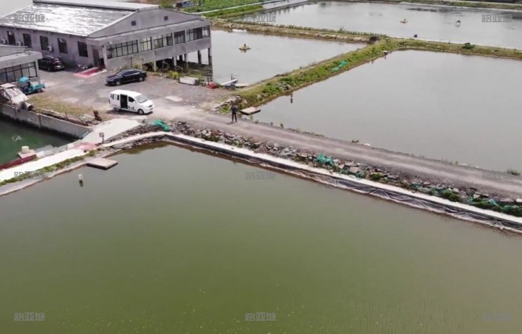 宜兴沙塘鳢路亚垂钓中心