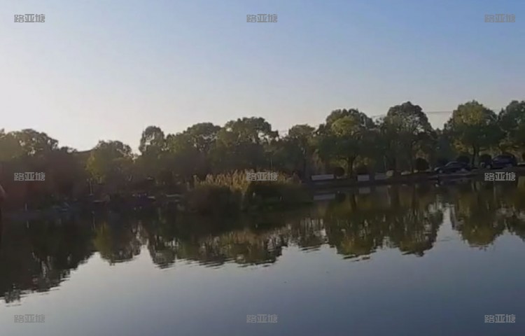 上海金泖路亚
