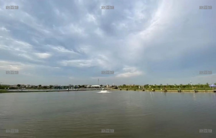 广州月亮湾路亚海钓俱乐部