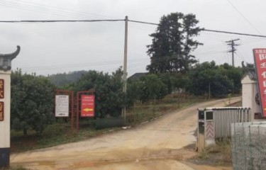 赣州阿华休闲钓场