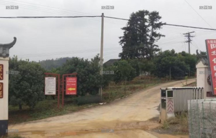 赣州阿华休闲钓场