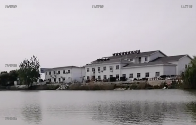 泰州鱤鱼路亚基地