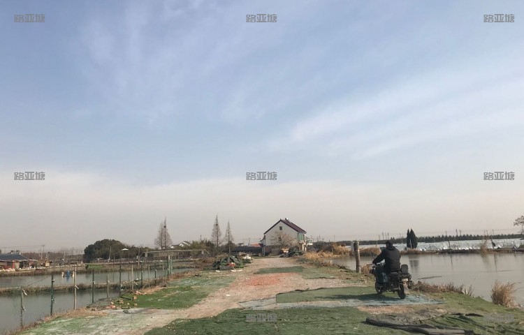 上海南池路亚练杆塘