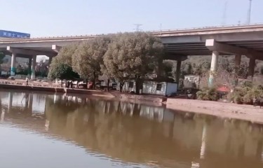 长沙含浦开心农场林光头钓鱼台