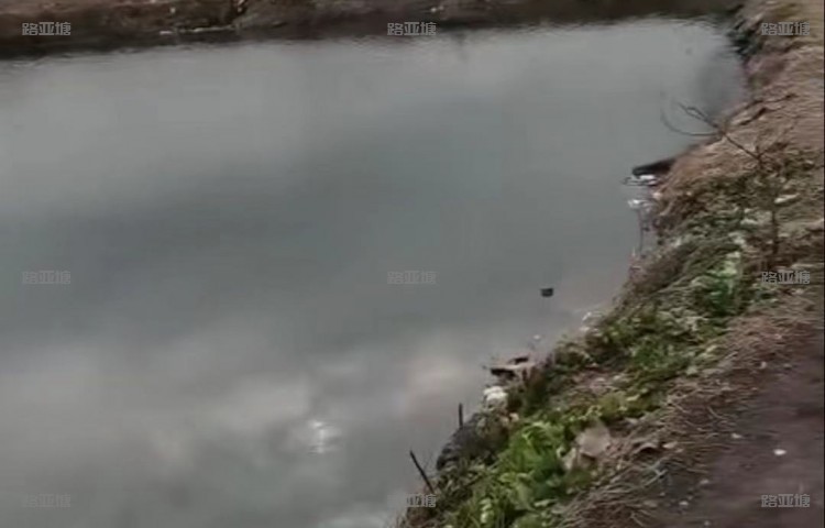 上海灰太狼鱼之乐路亚