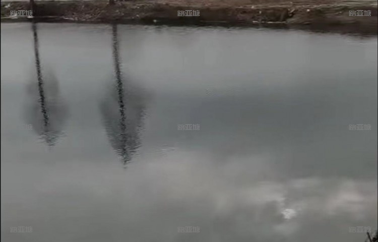 上海灰太狼鱼之乐路亚