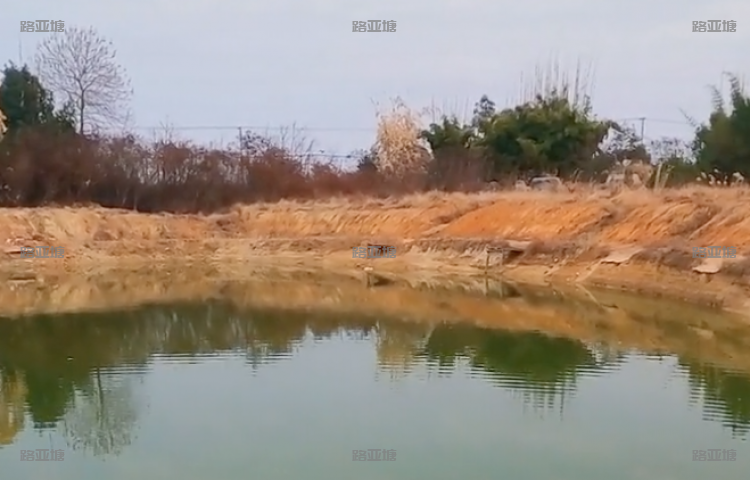 赣州赤湖路亚钓场