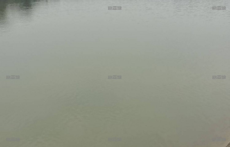 湘潭姜公台路亚基地