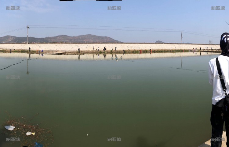 铜陵鱼聚缘垂钓中心