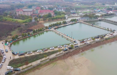 镇江大西湾路亚