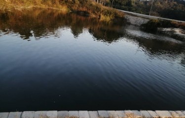 广州七星钓鱼休闲农场