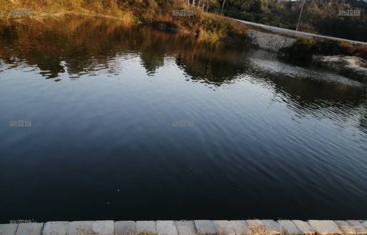 广州七星钓鱼休闲农场