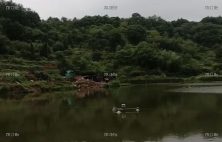 金华东阳盘龙岩休闲垂钓园