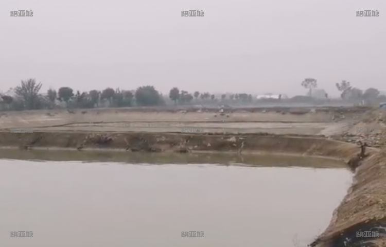 长沙麦子洲路亚基地