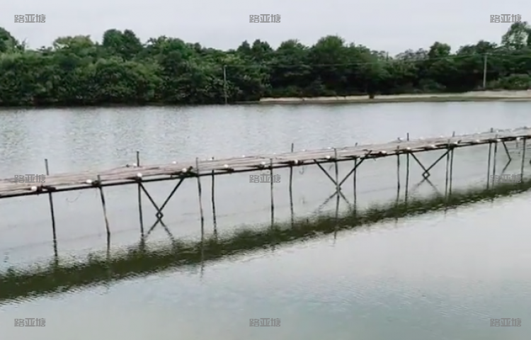 湘潭神塘生态垂钓基地