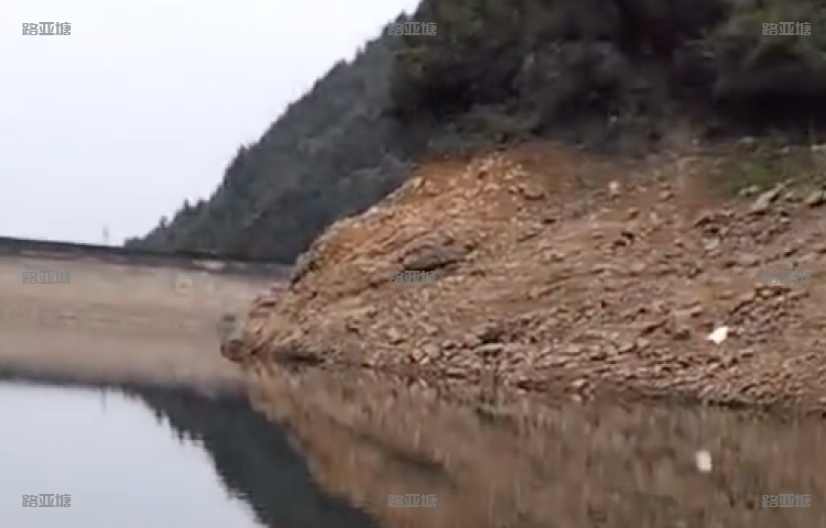 杭州建德童家绿荷塘路亚基地
