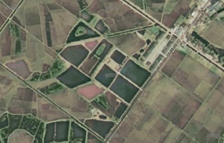 长沙哈利路亚基地