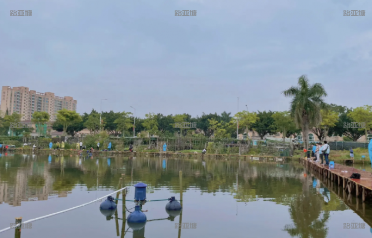 深圳萤火虫路亚基地