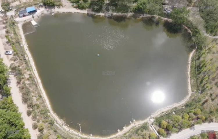 东阳小马路亚俱乐部