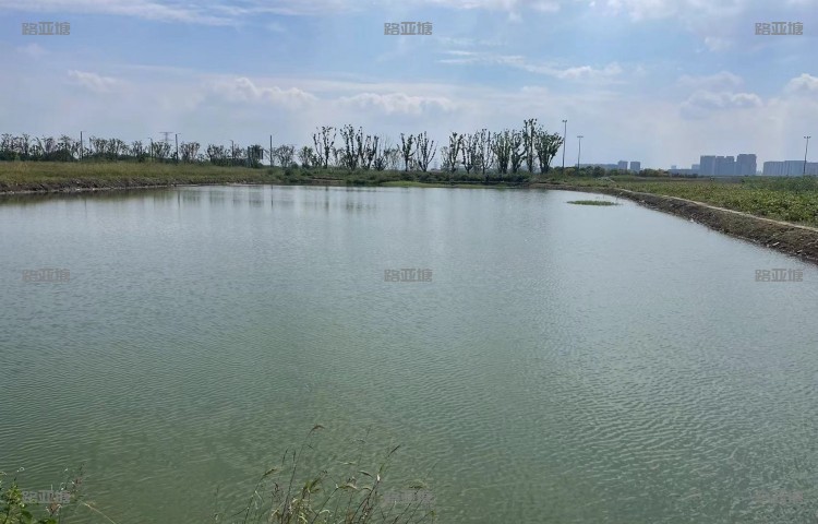 苏州寻芳路亚塘