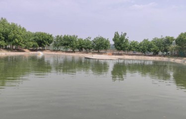 春和景明（北京）路亚休闲基地