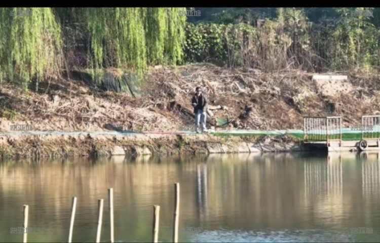 郑州解忧路亚