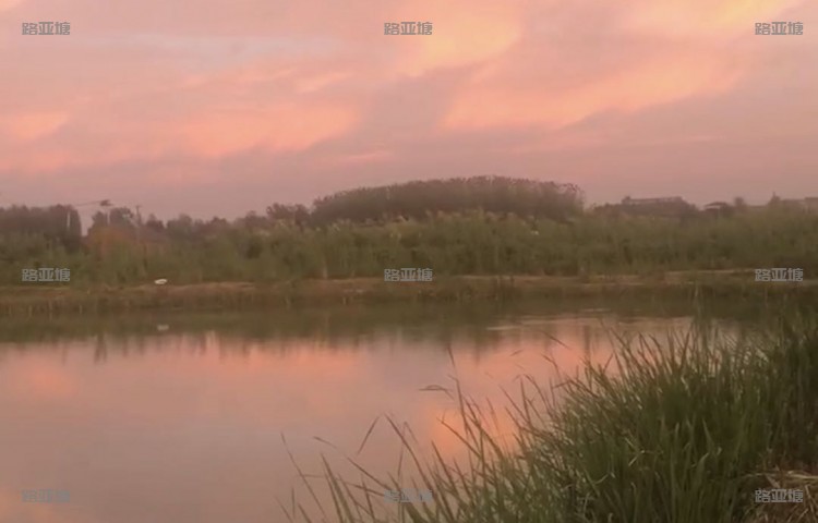 南京银龙路亚钓场