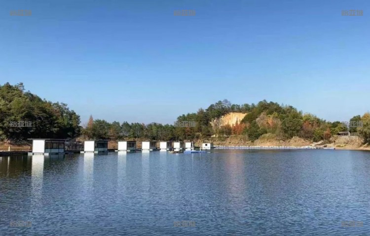 杭州千岛湖龙川湾路亚基地