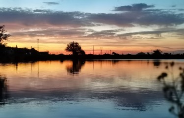 芜湖老崔路亚基地