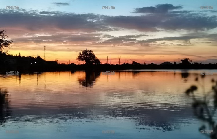 芜湖老崔路亚基地