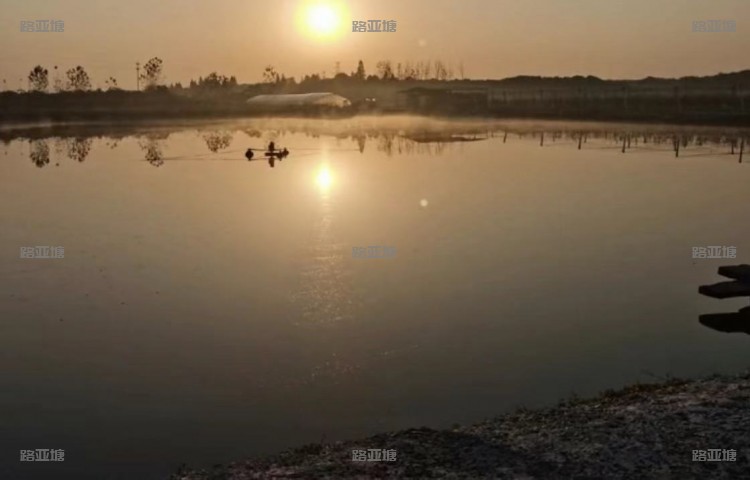 无锡江阴369垂钓基地）（西瓜路亚）