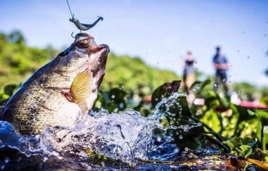 海宁市唐人路亚钓场