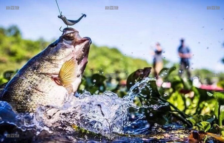 海宁市唐人路亚钓场