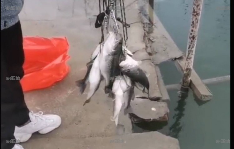 阜阳临泉路亚基地