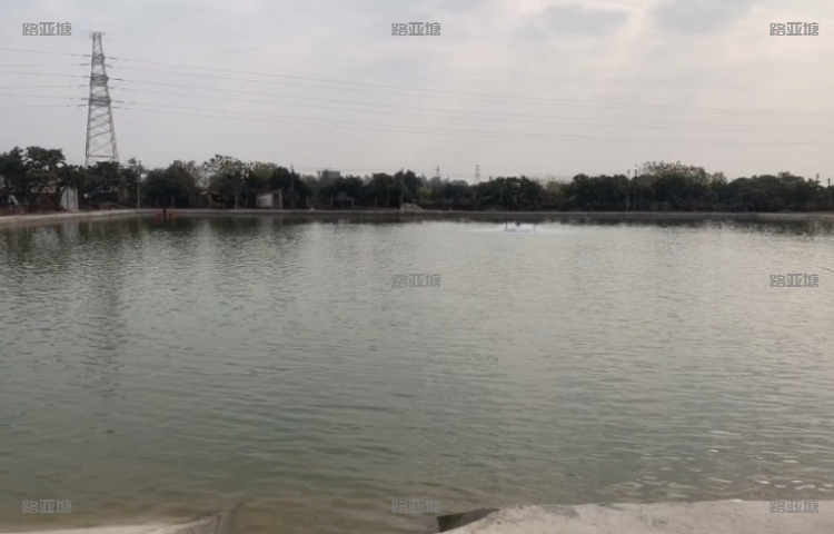 广州花都富鸿路亚基地