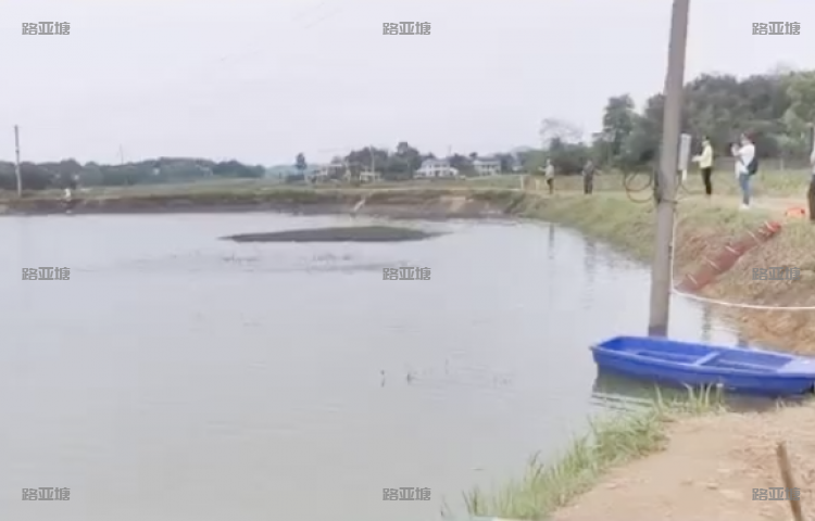 湘潭洺皓路亚