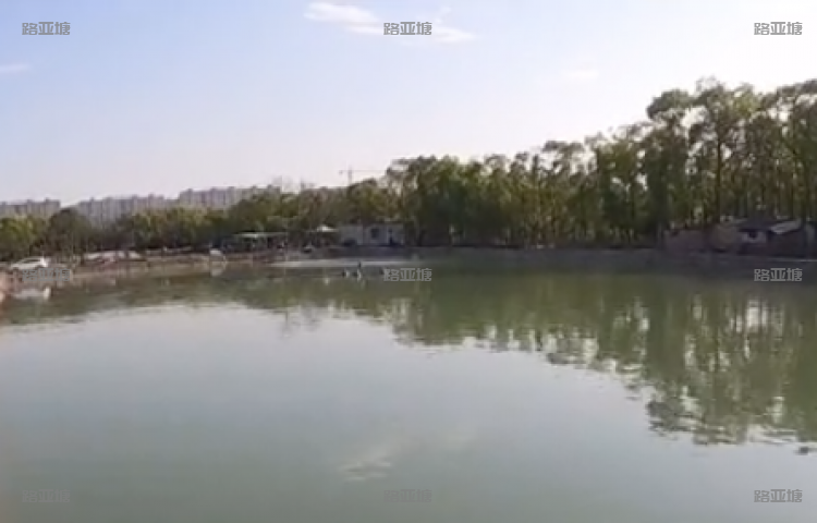 杭州三墩路亚基地
