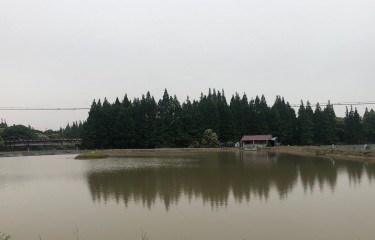 上海护海路亚基地