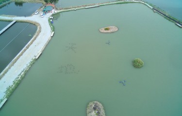 上海新天地垂钓中心