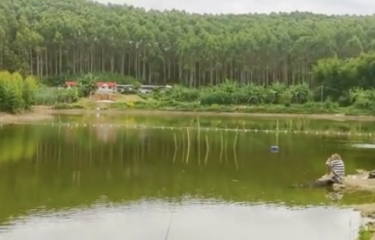 柳州六亿欢乐路亚基地