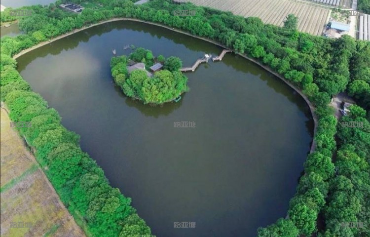 嘉兴隐愚野路亚俱乐部