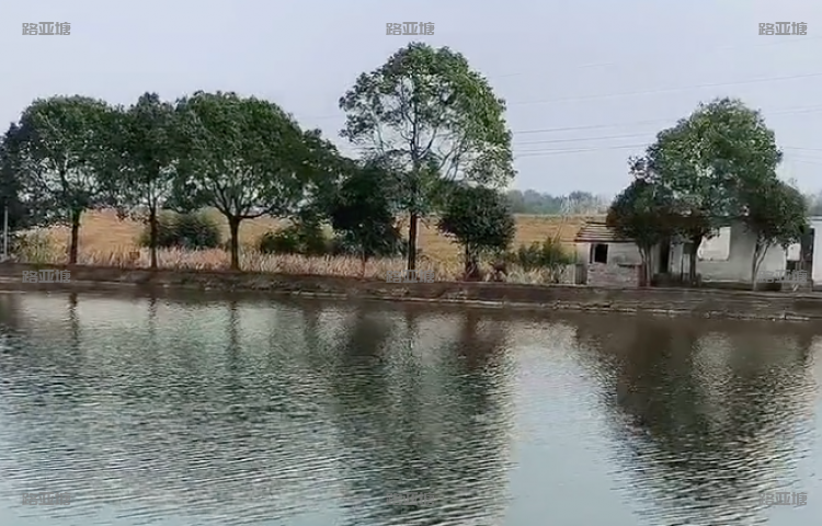 宣城竹鹿路亚基地