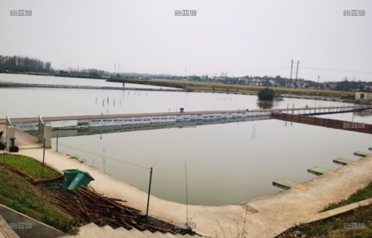 南京六合古蓝路亚俱乐部